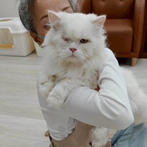 🐾 Support Their Care