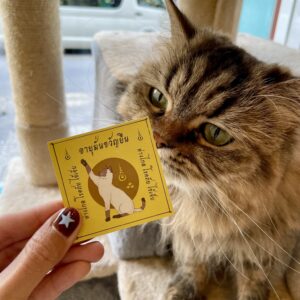 Cat Talisman — A Little Luck to Carry With You