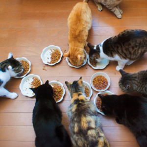 ⭐ Support Their Care