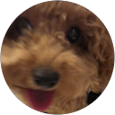 Kirathinan Rungjarudnon profile picture