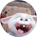 qasfibgu profile picture